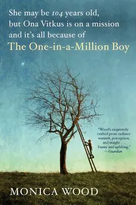 Il ragazzo da un milione di dollari - The One-In-A-Million Boy