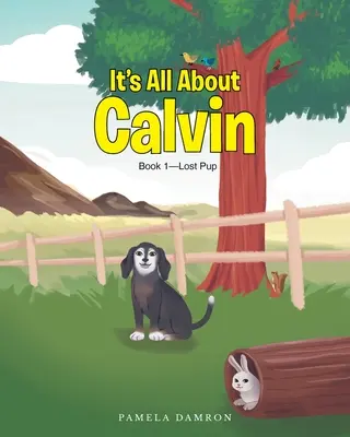 Tutto su Calvin: Libro 1 - Il cucciolo perduto - It's All About Calvin: Book 1-Lost Pup