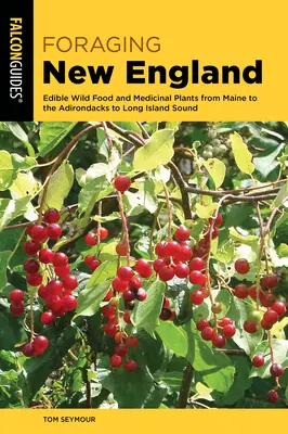 Foraging New England: Cibo selvatico commestibile e piante medicinali dal Maine agli Adirondack fino a Long Island Sound - Foraging New England: Edible Wild Food and Medicinal Plants from Maine to the Adirondacks to Long Island Sound