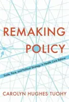 Rifare la politica: Scala, ritmo e strategia politica nella riforma sanitaria - Remaking Policy: Scale, Pace, and Political Strategy in Health Care Reform