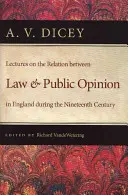 Lezioni sul rapporto tra legge e opinione pubblica in Inghilterra durante il XIX secolo - Lectures on the Relation Between Law and Public Opinion in England During the Nineteenth Century
