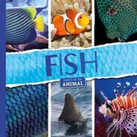 Il pesce - Fish
