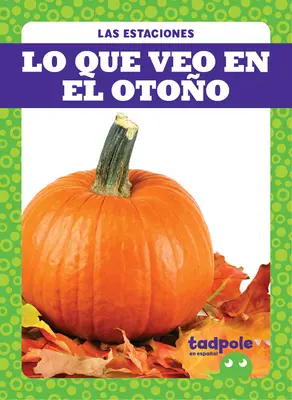 Lo Que Veo En El Otoo (Quello che vedo cadere) - Lo Que Veo En El Otoo (What I See Fall)