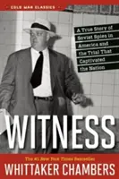Il testimone - Witness