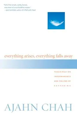 Tutto sorge, tutto cade: Insegnamenti sull'impermanenza e la fine della sofferenza - Everything Arises, Everything Falls Away: Teachings on Impermanence and the End of Suffering