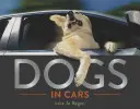 Cani in auto - Dogs in Cars