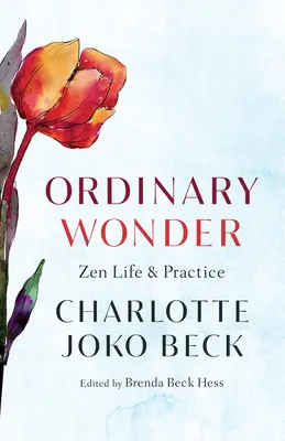 Ordinaria meraviglia: Vita e pratica zen - Ordinary Wonder: Zen Life and Practice