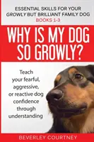Abilità essenziali per il vostro cane di famiglia cresciuto ma brillante: Libri 1-3: Capire il vostro cane timoroso, reattivo o aggressivo, e le strategie e le tecniche per la sua gestione. - Essential Skills for your Growly but Brilliant Family Dog: Books 1-3: Understanding your fearful, reactive, or aggressive dog, and strategies and tech