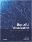 Bella visualizzazione: Guardare i dati attraverso gli occhi degli esperti - Beautiful Visualization: Looking at Data Through the Eyes of Experts