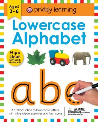 Libro di lavoro Wipe Clean: Alfabeto minuscolo (rilegatura a spirale chiusa): Età 3-6 anni; con penna e schede flash - Wipe Clean Workbook: Lowercase Alphabet (Enclosed Spiral Binding): Ages 3-6; With Pen & Flash Cards