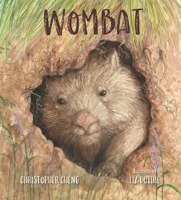Il vombato - Wombat
