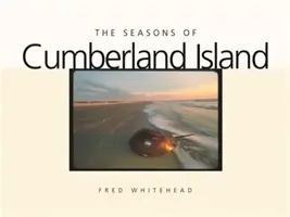 Le stagioni dell'isola di Cumberland - The Seasons of Cumberland Island