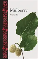 Gelso - Mulberry