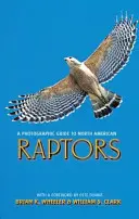 Guida fotografica ai rapaci del Nord America - A Photographic Guide to North American Raptors
