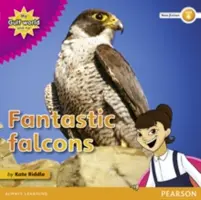 Il mio mondo del Golfo e io Lettore di saggistica di livello 4: Fantastici falchi - My Gulf World and Me Level 4 non-fiction reader: Fantastic falcons