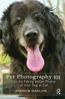 Pet Photography 101: Consigli per fotografare meglio il vostro cane o gatto - Pet Photography 101: Tips for Taking Better Photos of Your Dog or Cat