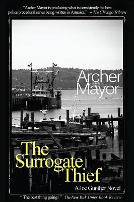 Il ladro surrogato: Un romanzo di Joe Gunther - The Surrogate Thief: A Joe Gunther Novel
