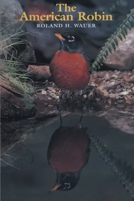 Il pettirosso americano - The American Robin