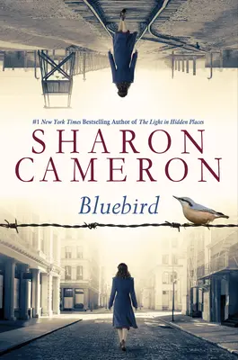 L'uccello azzurro - Bluebird