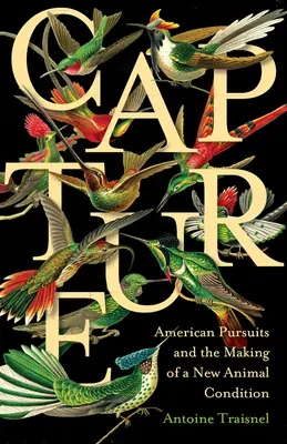 Cattura: Gli inseguimenti americani e la creazione di una nuova condizione animale. - Capture: American Pursuits and the Making of a New Animal Condition