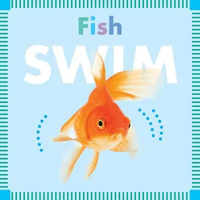 I pesci nuotano - Fish Swim