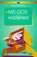MS-DOS 6 spiegato - MS-DOS 6 Explained
