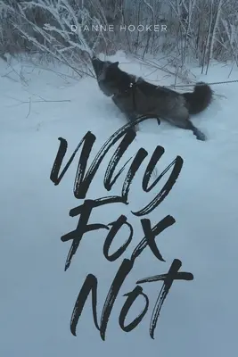 Perché la volpe no - Why Fox Not