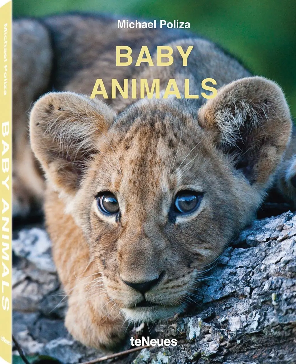 Animali domestici - Baby Animals