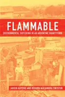 Infiammabile: La sofferenza ambientale in una baraccopoli argentina - Flammable: Environmental Suffering in an Argentine Shantytown