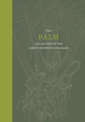 Palma: La collezione di palme del Jardn Botnico di Culiacn - Palm: The Palm Collection at the Jardn Botnico Culiacn
