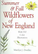Fiori selvatici estivi e autunnali del New England - Summer & Fall Wildflowers of New England