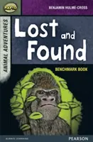 Libro di valutazione Rapid Stage 7: Persi e ritrovati - Rapid Stage 7 Assessment book: Lost and Found
