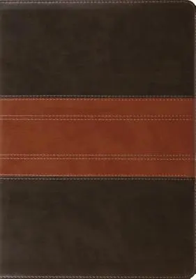 Bibbia di studio-ESV - Design del percorso - Study Bible-ESV-Trail Design