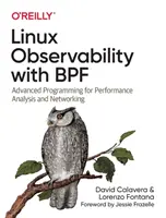 Osservabilità di Linux con Bpf: Programmazione avanzata per l'analisi delle prestazioni e il networking - Linux Observability with Bpf: Advanced Programming for Performance Analysis and Networking