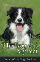 Il cane ai miei piedi: Storie dei cani che amiamo - The Dog at My Feet: Stories of the Dogs We Love