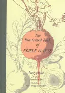 Il libro illustrato delle piante commestibili - The Illustrated Book of Edible Plants