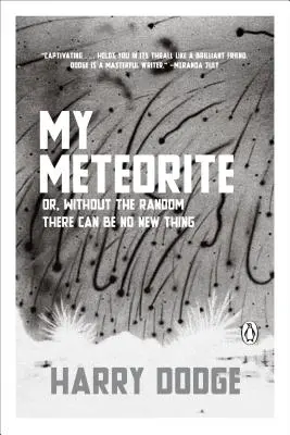 Il mio meteorite: O, Senza il caso non ci possono essere novità - My Meteorite: Or, Without the Random There Can Be No New Thing