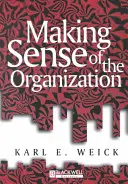 Dare un senso all'organizzazione - Making Sense of the Organizati