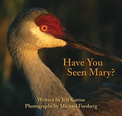 Hai visto Mary? - Have You Seen Mary?