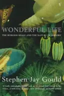 Una vita meravigliosa - Wonderful Life