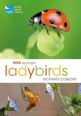 Rspb Coccinelle da riflettore - Rspb Spotlight Ladybirds