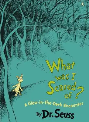 Di cosa avevo paura? - What Was I Scared Of?