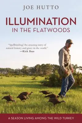 Illuminazione nelle Flatwoods: Una stagione di vita tra i tacchini selvatici - Illumination in the Flatwoods: A Season Living Among the Wild Turkey