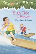 Alta marea alle Hawaii - High Tide in Hawaii