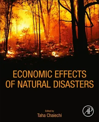 Effetti economici dei disastri naturali: Fondamenti teorici, metodi e strumenti - Economic Effects of Natural Disasters: Theoretical Foundations, Methods, and Tools