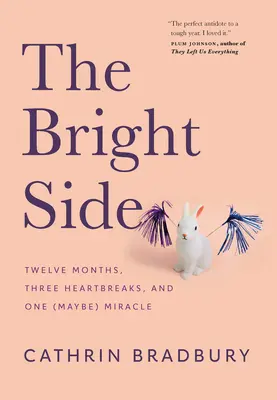 Il lato positivo: Dodici mesi, tre rotture di cuore e un (forse) miracolo - The Bright Side: Twelve Months, Three Heartbreaks, and One (Maybe) Miracle