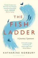 La scala dei pesci - Un viaggio a monte - Fish Ladder - A Journey Upstream