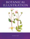 Illustrazione botanica - Botanical Illustration