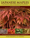 Aceri giapponesi: Guida completa alla selezione e alla coltivazione - Japanese Maples: The Complete Guide to Selection and Cultivation