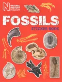 Libro di adesivi sui fossili - Fossils Sticker Book